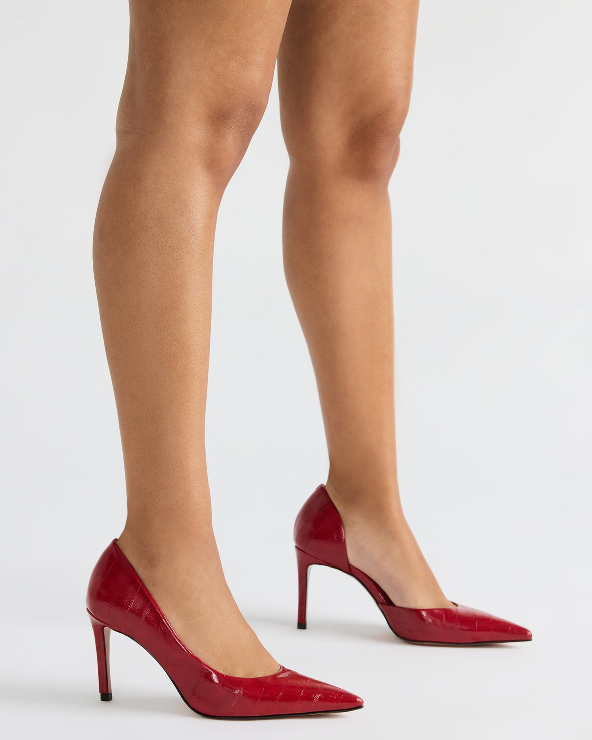 NULA Zebra Pointed-Toe Stiletto Pump Women's Heel