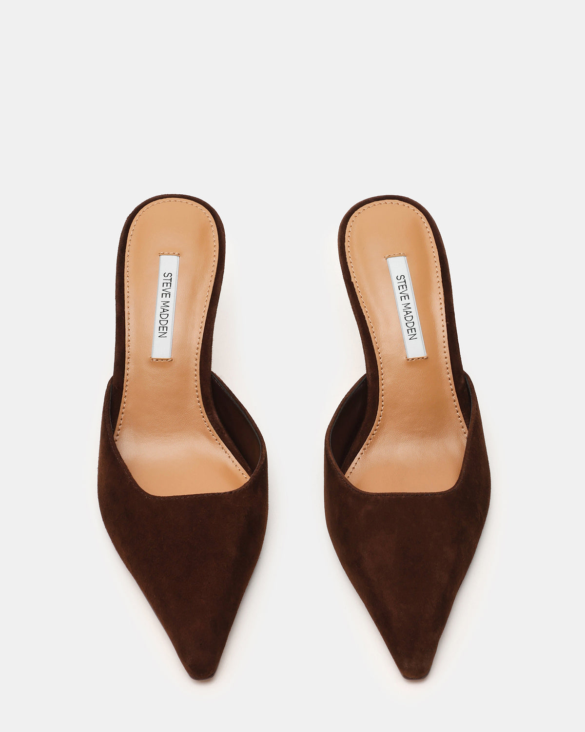 ADELINE Brown Suede Mule Pointed-Toe Gold-Detail Women's Heel Steve Madden BROWN SUEDE
