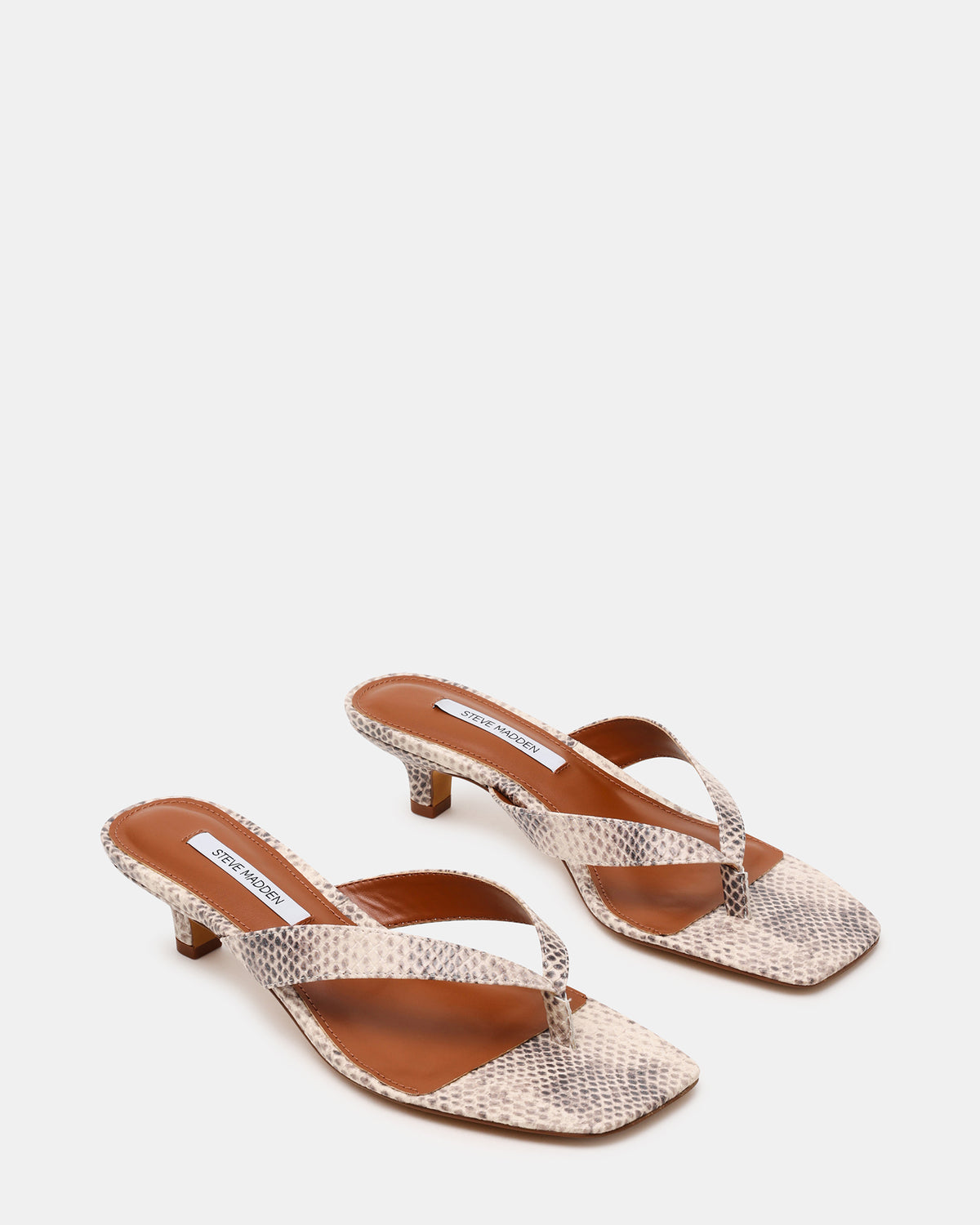 TRACIE Natural Snake Thong Strap Women's Kitten Heel Steve Madden NATURAL SNAKE