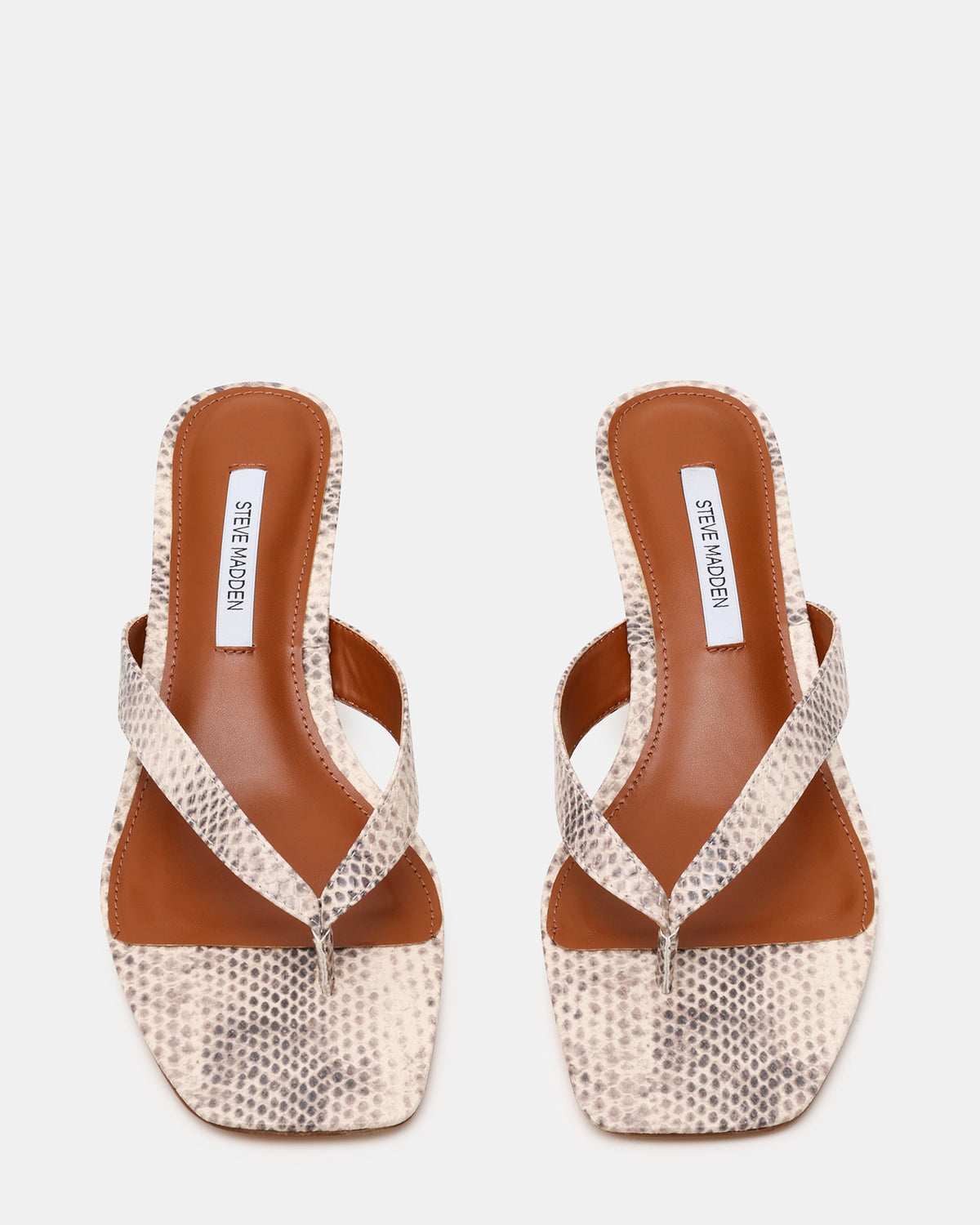 TRACIE Natural Snake Thong Strap Women's Kitten Heel Steve Madden NATURAL SNAKE