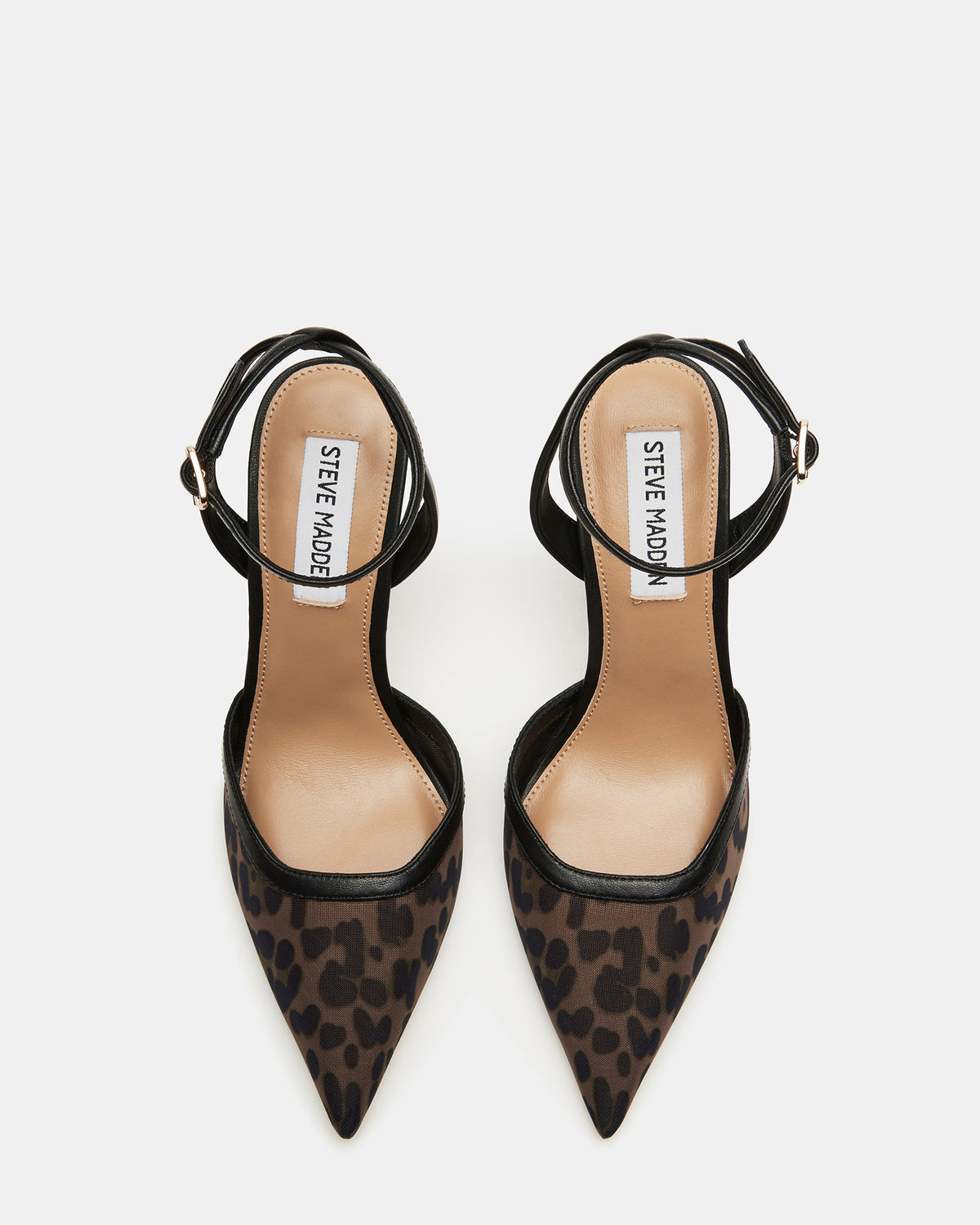 ALLIANCE Mesh Leopard Pointed-Toe Pump Women's Heel Steve Madden LEOPARD