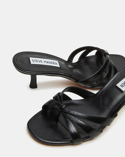 CARY Black Leather Square-Toe Strappy Mule Women's Heel Steve Madden BLACK LEATHER