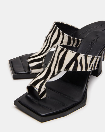 ALAMEDA Zebra Square-Toe Mule Women's Heel Steve Madden ZEBRA