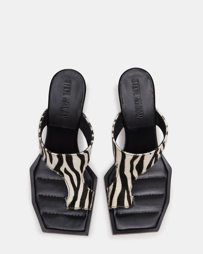 ALAMEDA Zebra Square-Toe Mule Women's Heel Steve Madden ZEBRA