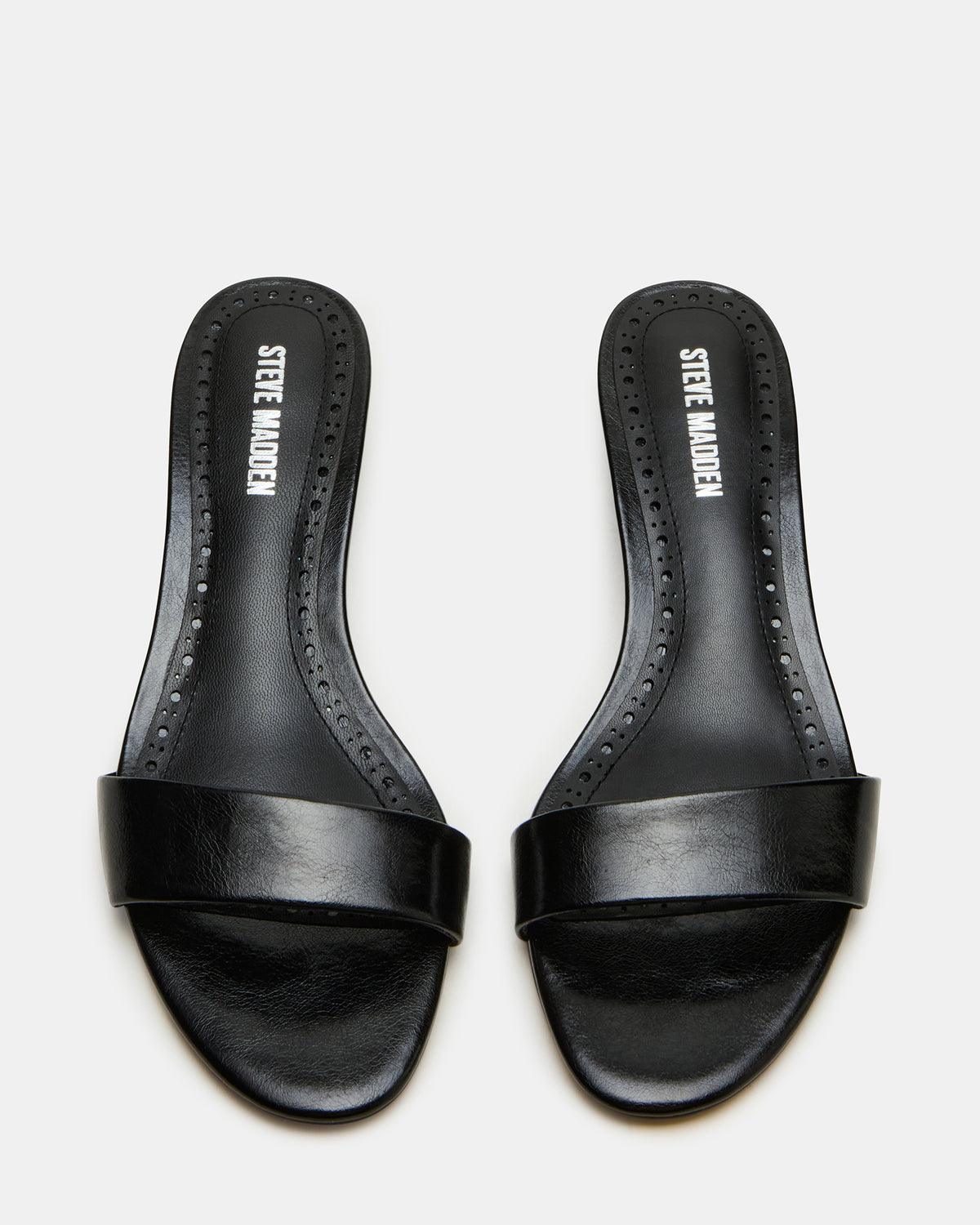 BERRY Black Women's Mule Kitten Heel Steve Madden BLACK