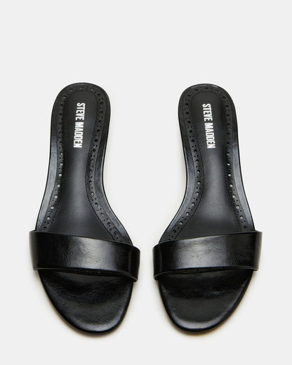 BERRY Black Women's Mule Kitten Heel Steve Madden BLACK