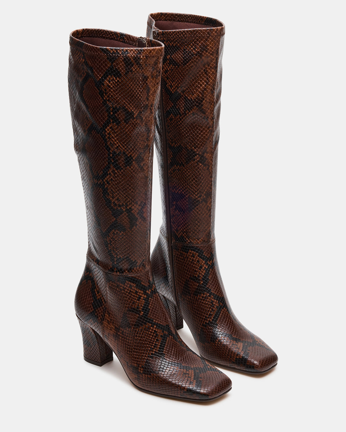 ELLIOT Brown Snake Square-Toe Knee-High Block Heel Women's Boot Steve Madden BROWN SNAKE