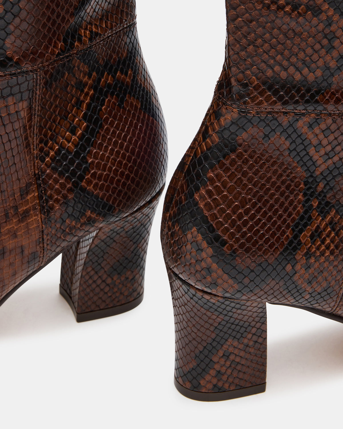 ELLIOT Brown Snake Square-Toe Knee-High Block Heel Women's Boot Steve Madden BROWN SNAKE