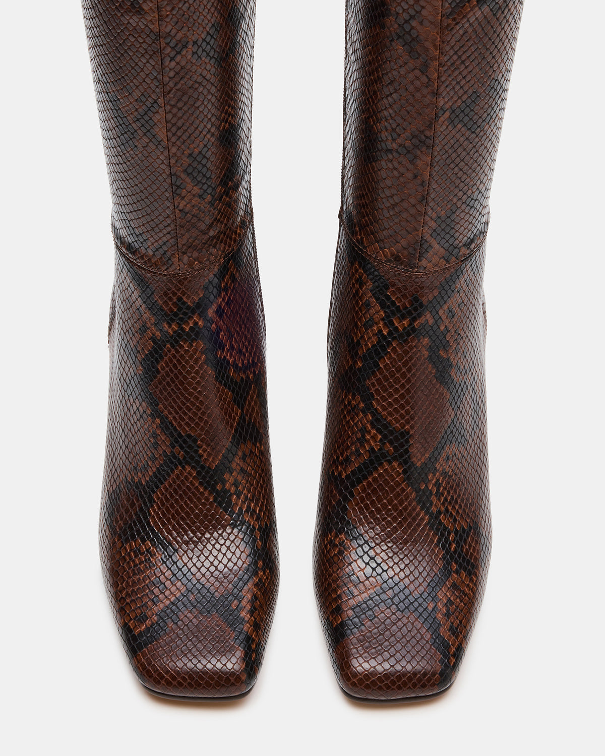 ELLIOT Brown Snake Square-Toe Knee-High Block Heel Women's Boot Steve Madden BROWN SNAKE