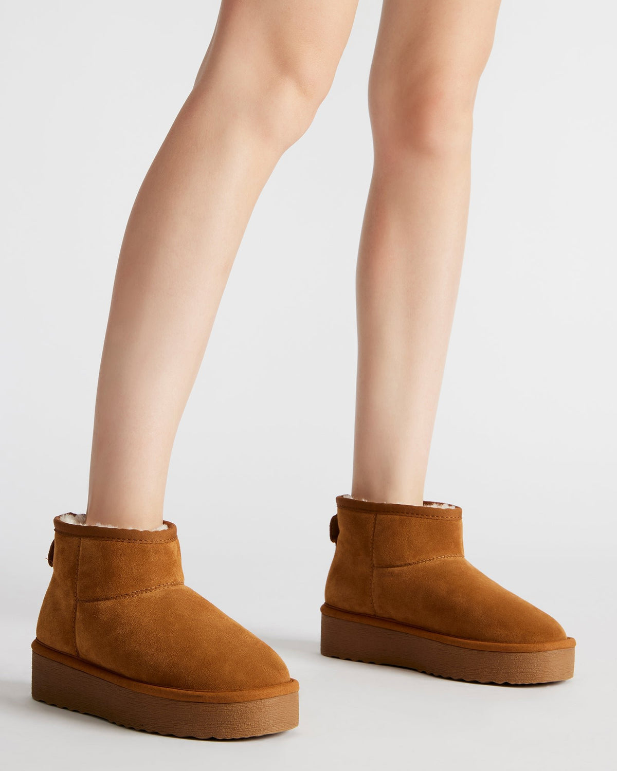 COMFY Chestnut Suede Women's Ankle Boot Steve Madden CHESTNUT SUEDE