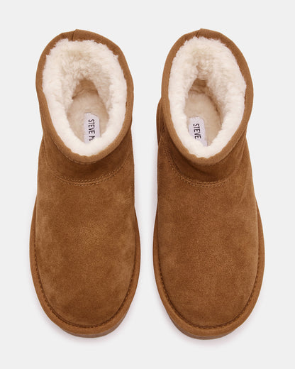 COMFY Chestnut Suede Women's Ankle Boot Steve Madden CHESTNUT SUEDE