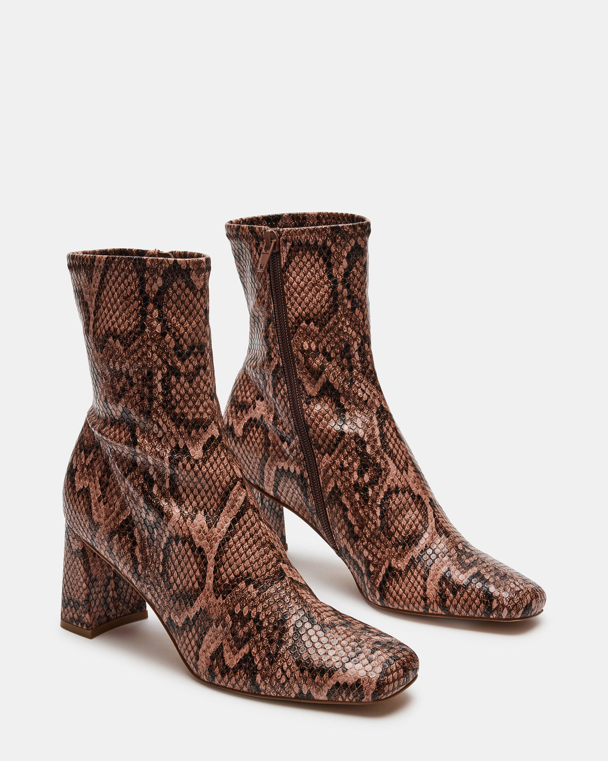 HUSH Snake Square Toe Bootie | Women's Ankle Boots Steve Madden SNAKE