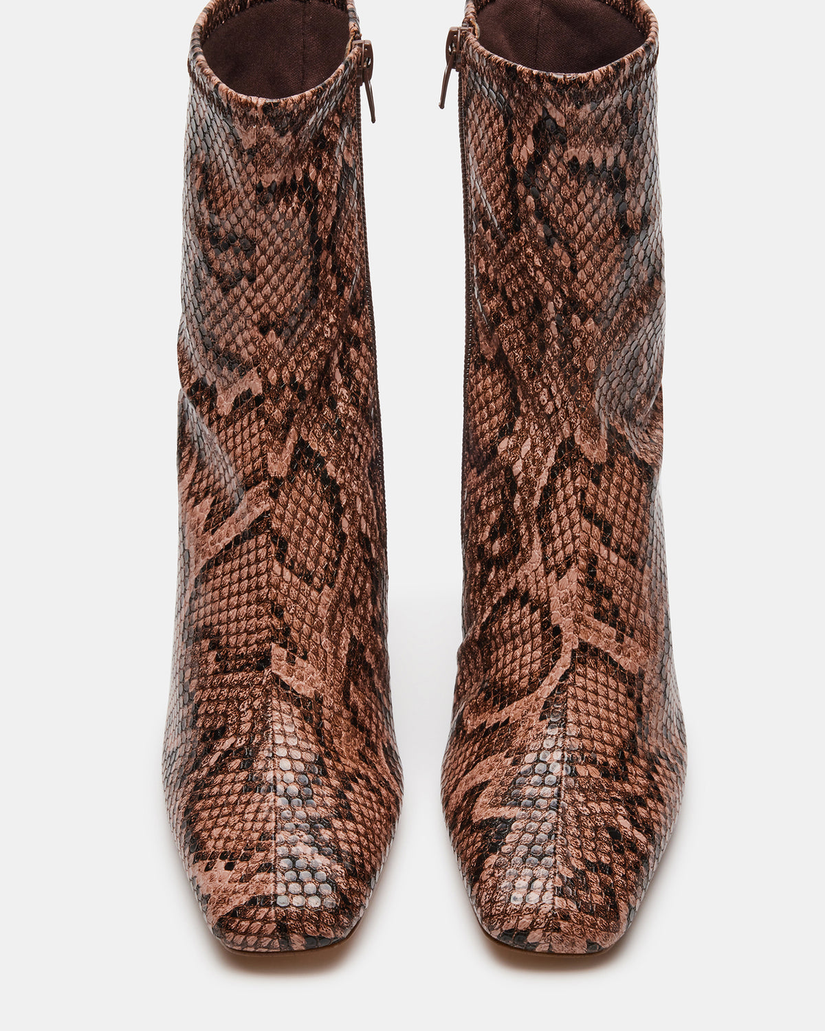 HUSH Snake Square Toe Bootie | Women's Ankle Boots Steve Madden SNAKE