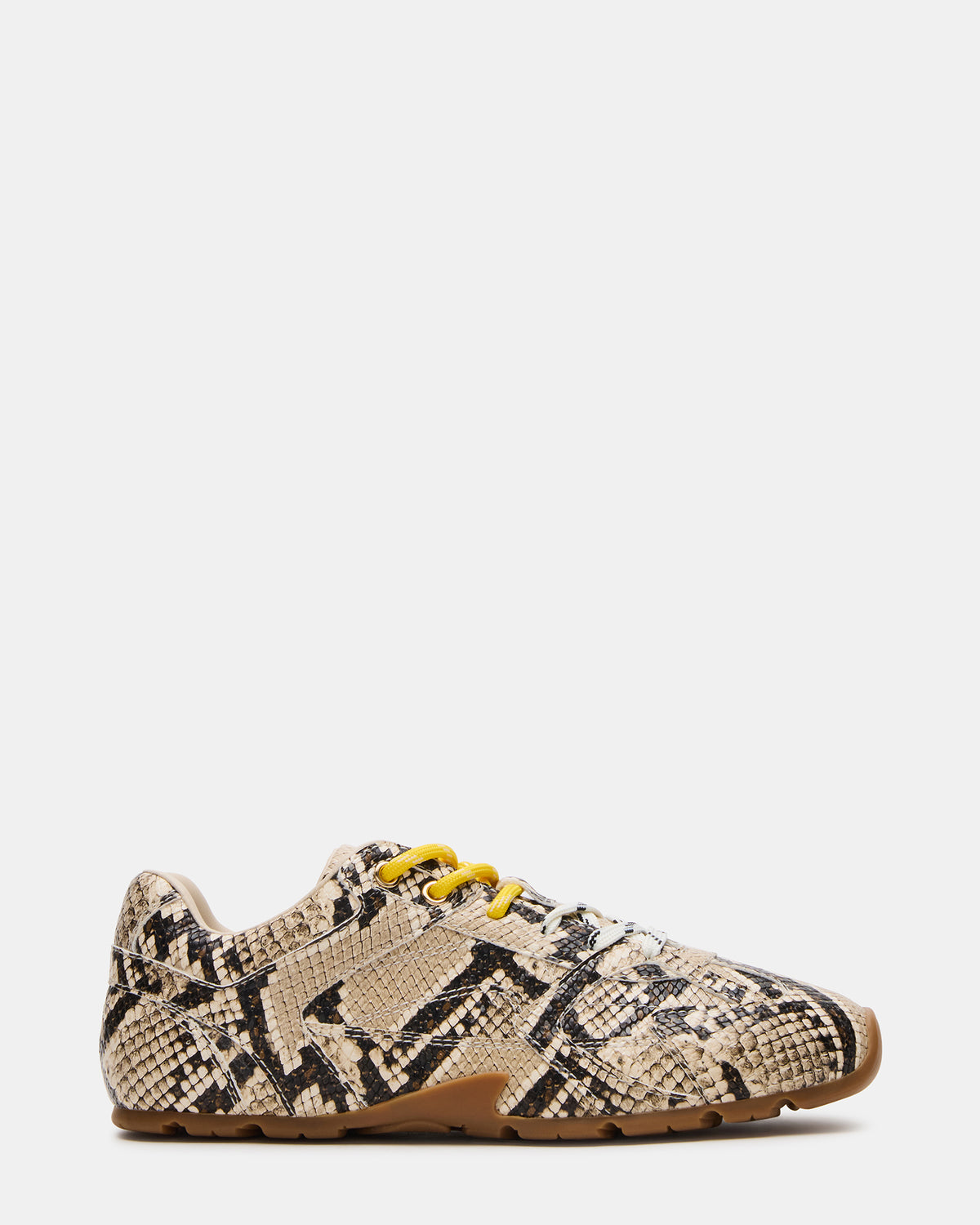 AZIEL Tan Snake Low-Top Lace-Up Women's Sneakers Steve Madden TAN SNAKE