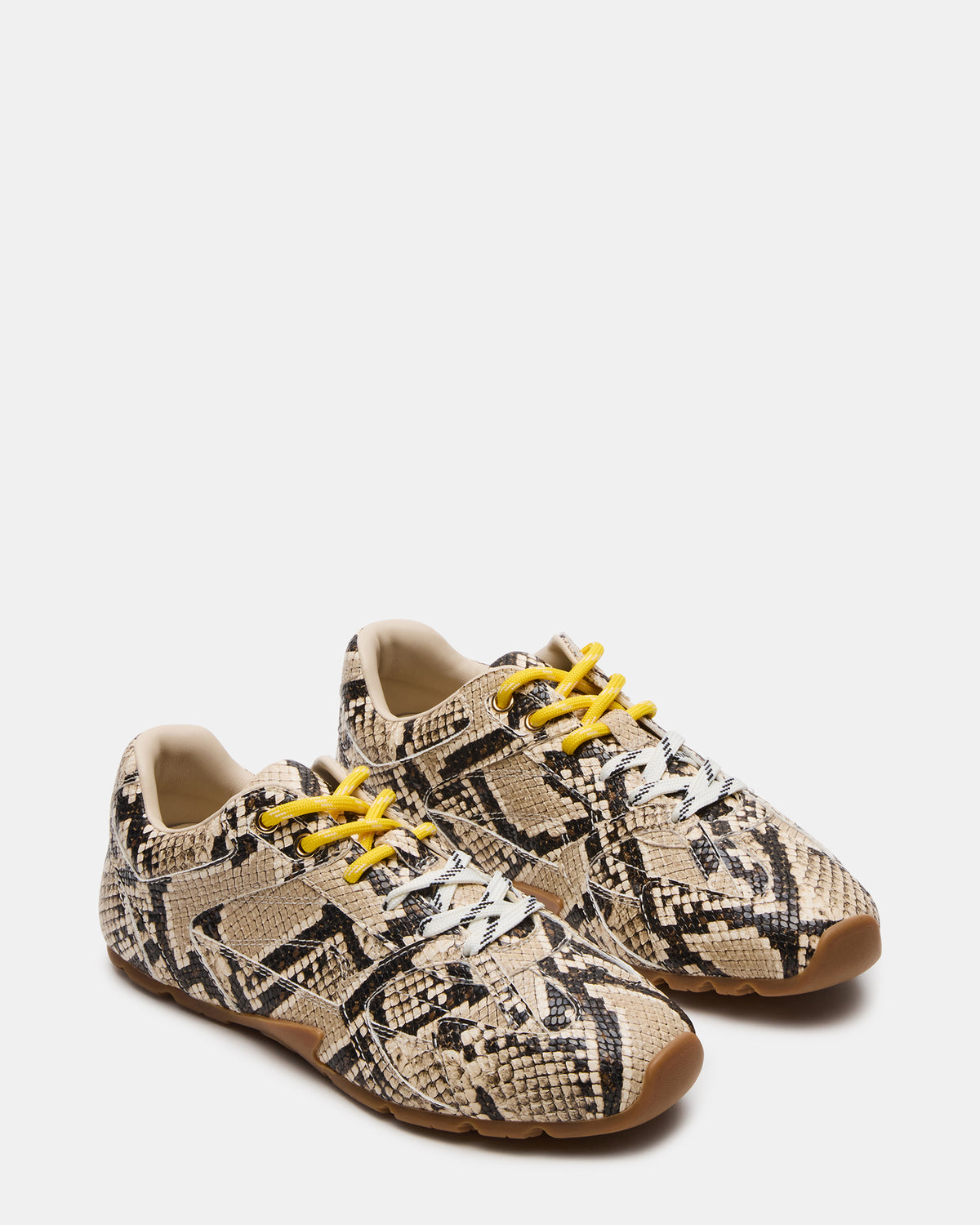 AZIEL Tan Snake Low-Top Lace-Up Women's Sneakers Steve Madden TAN SNAKE