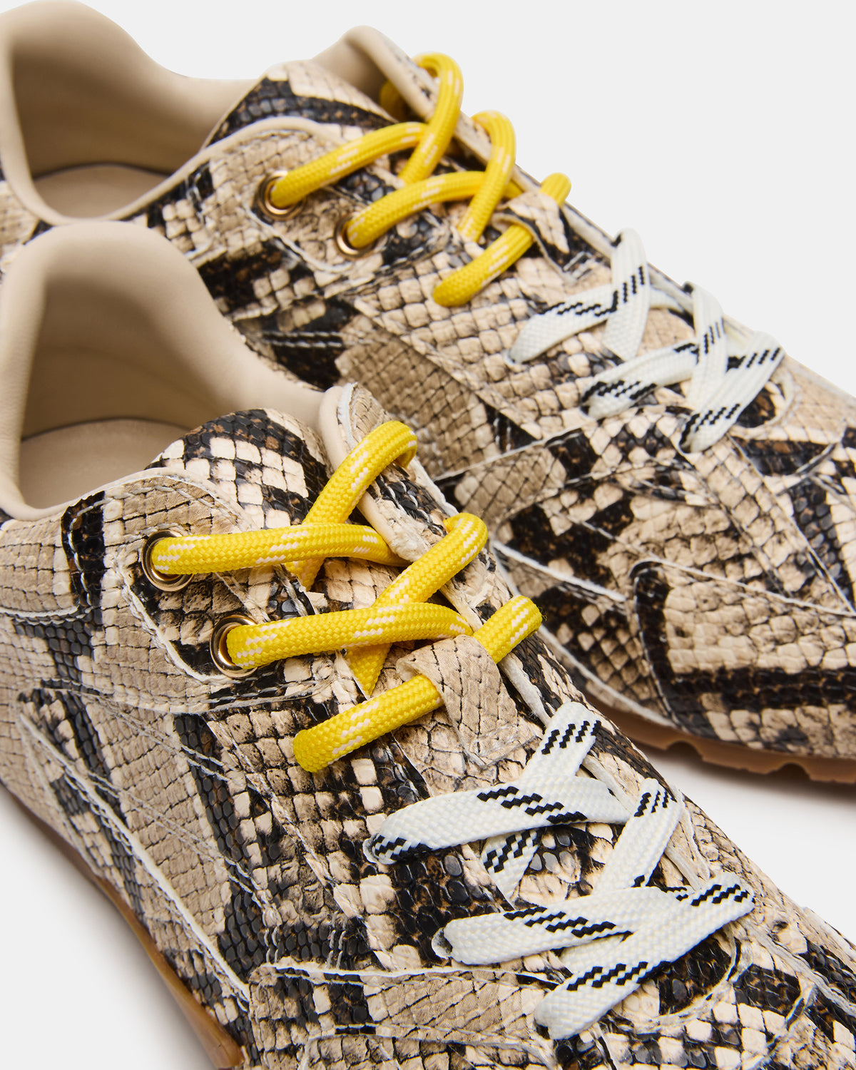 AZIEL Tan Snake Low-Top Lace-Up Women's Sneakers Steve Madden TAN SNAKE