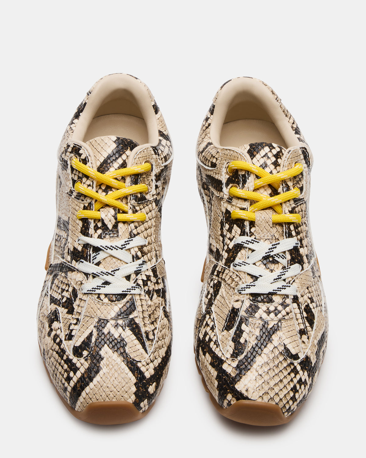 AZIEL Tan Snake Low-Top Lace-Up Women's Sneakers Steve Madden TAN SNAKE