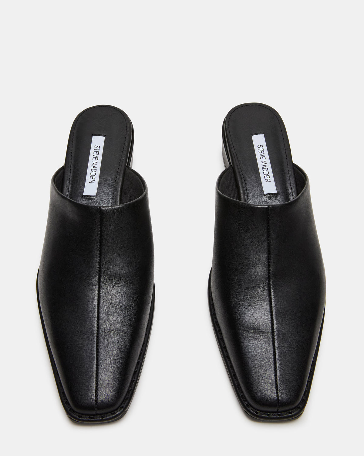 DESSA Black Leather Square-Toe Mule Women's Flat Steve Madden BLACK LEATHER