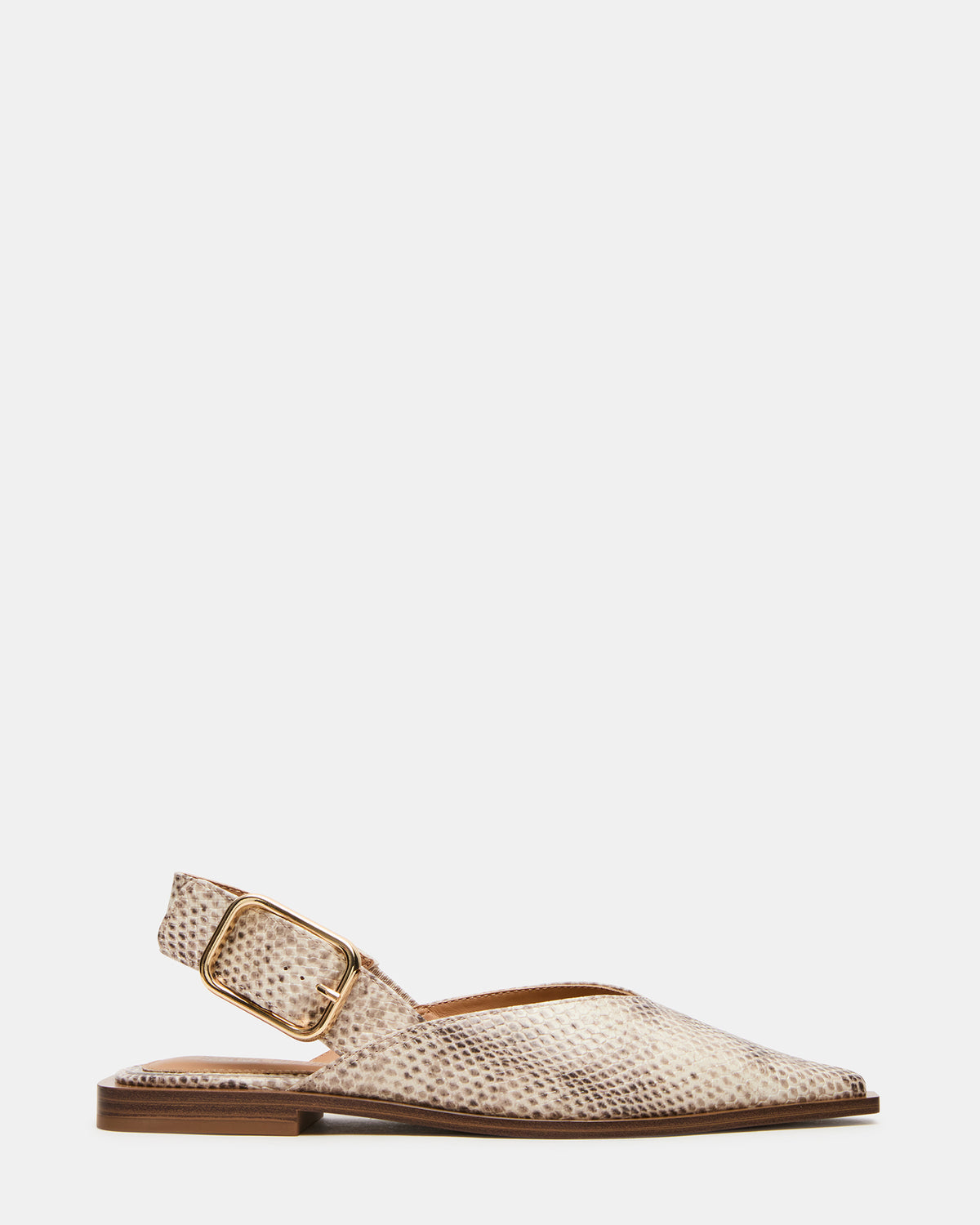 SHAY Snake Pointed-Toe Slingback Ballet Women's Flat Steve Madden SNAKE
