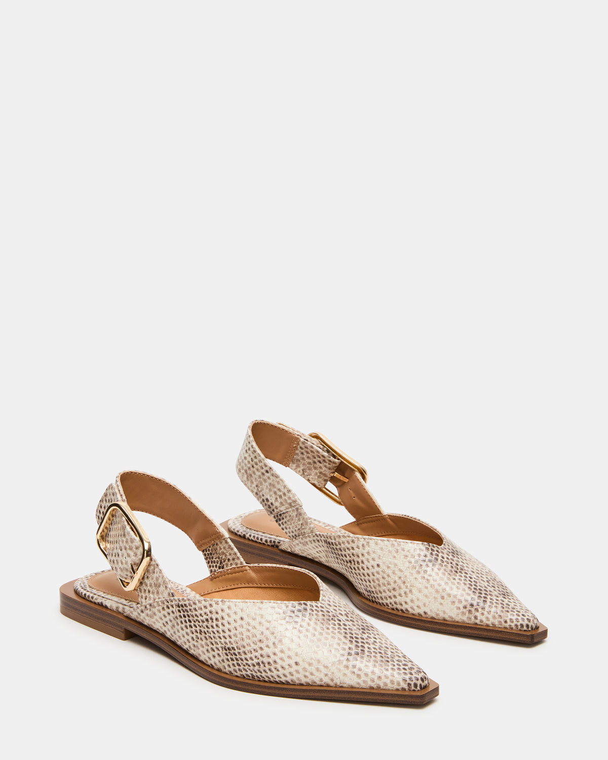 SHAY Snake Pointed-Toe Slingback Ballet Women's Flat Steve Madden SNAKE