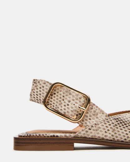 SHAY Snake Pointed-Toe Slingback Ballet Women's Flat Steve Madden SNAKE