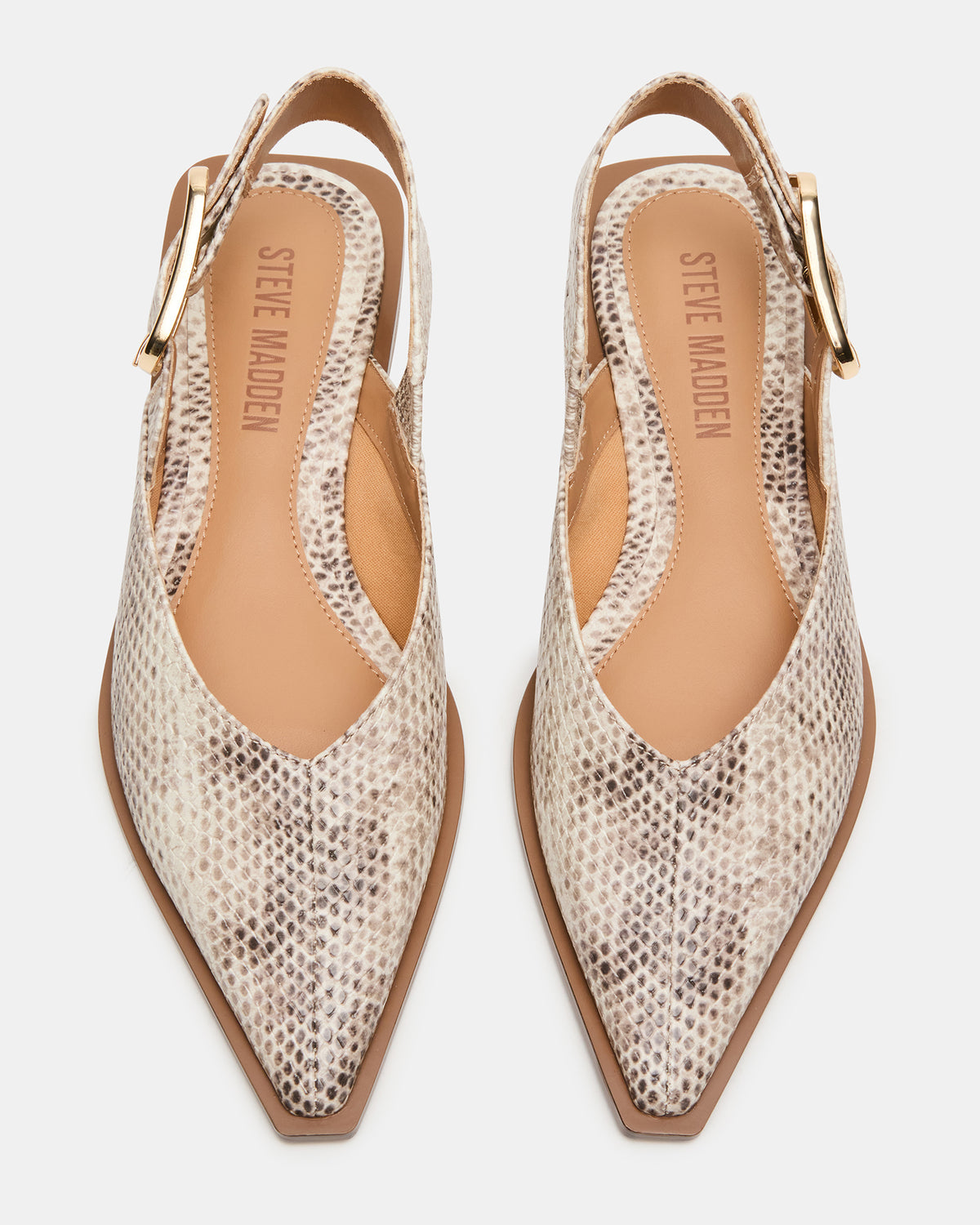 SHAY Snake Pointed-Toe Slingback Ballet Women's Flat Steve Madden SNAKE