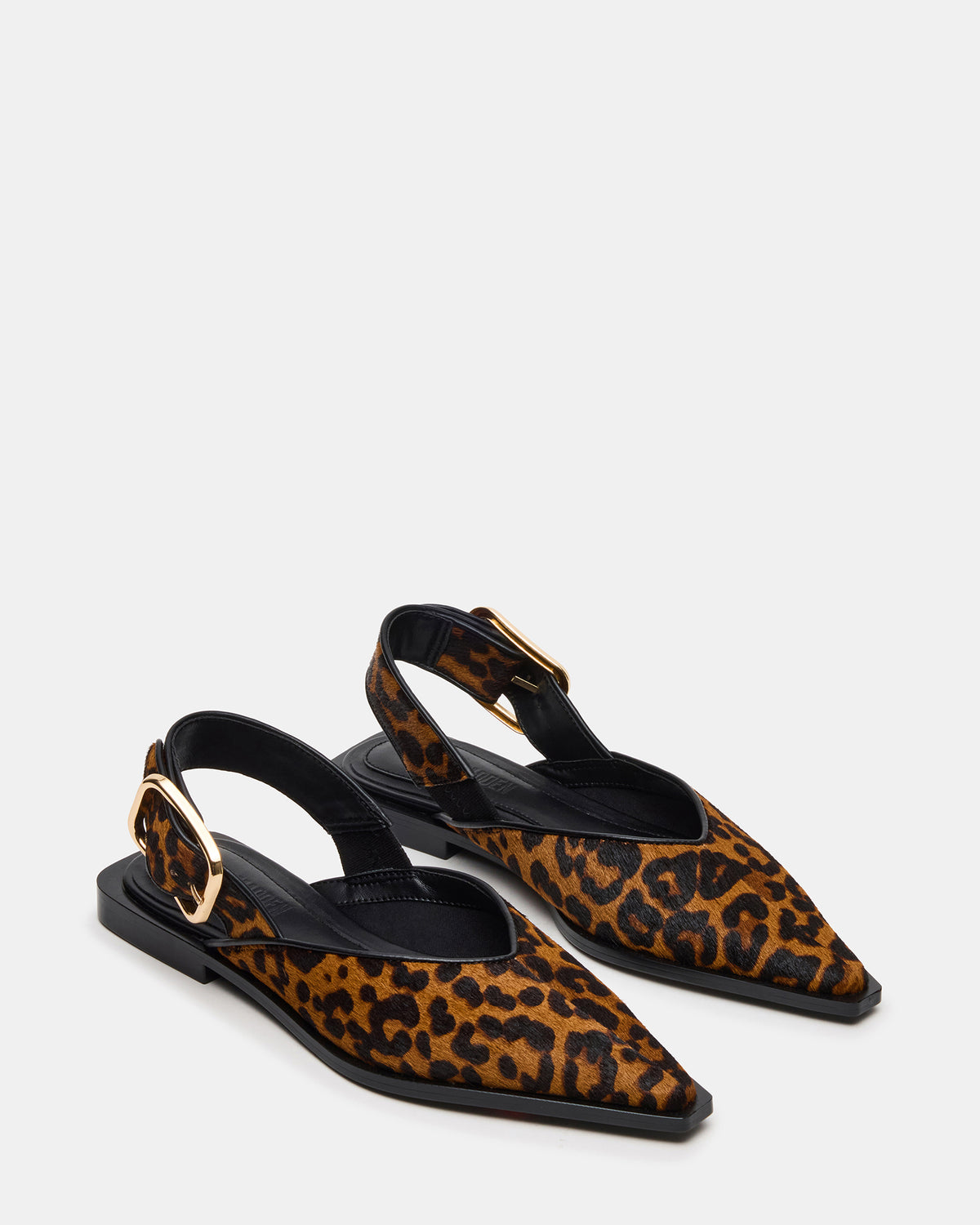 SHAY Leopard Pointed-Toe Slingback Ballet Women's Flat Steve Madden LEOPARD