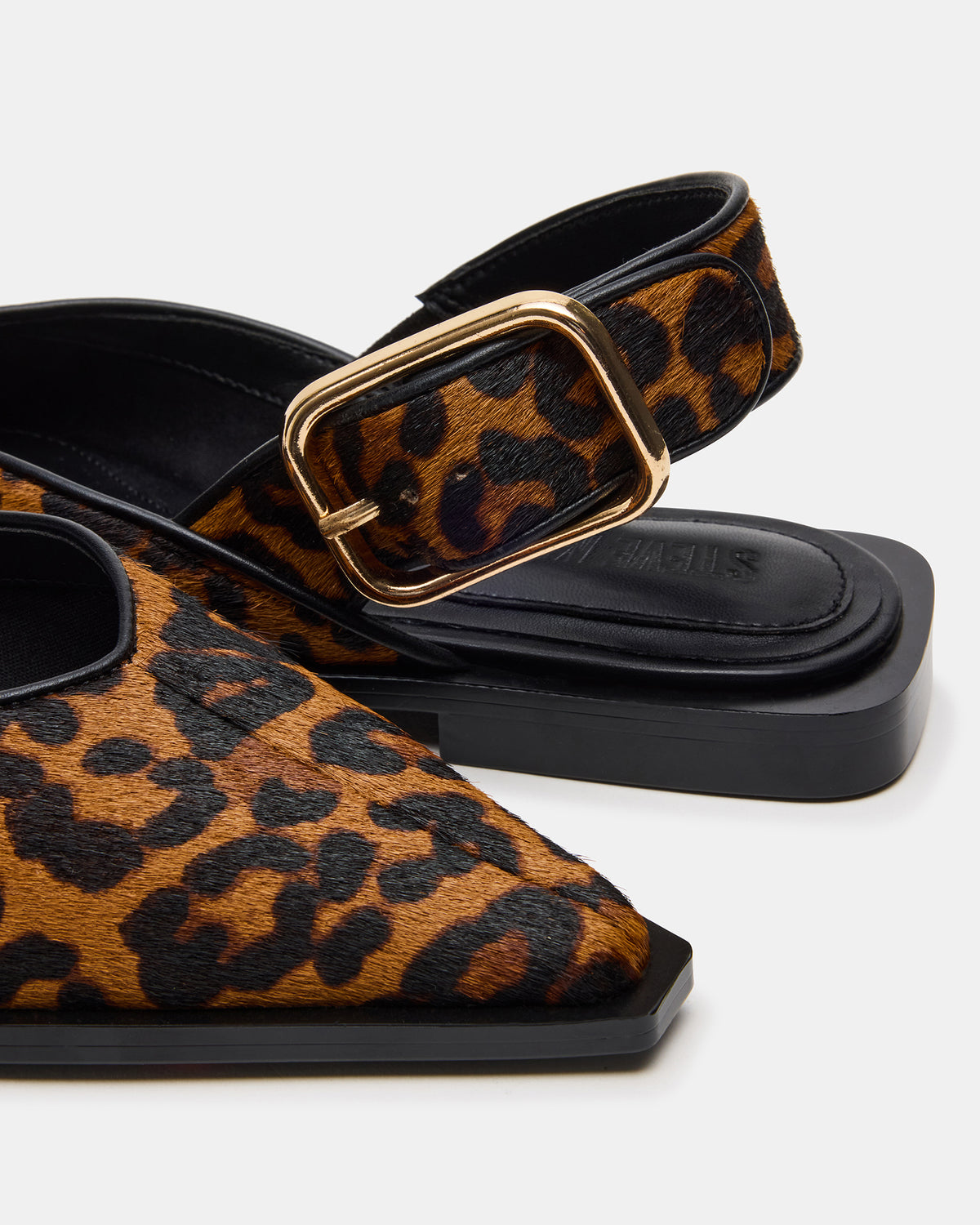 SHAY Leopard Pointed-Toe Slingback Ballet Women's Flat Steve Madden LEOPARD