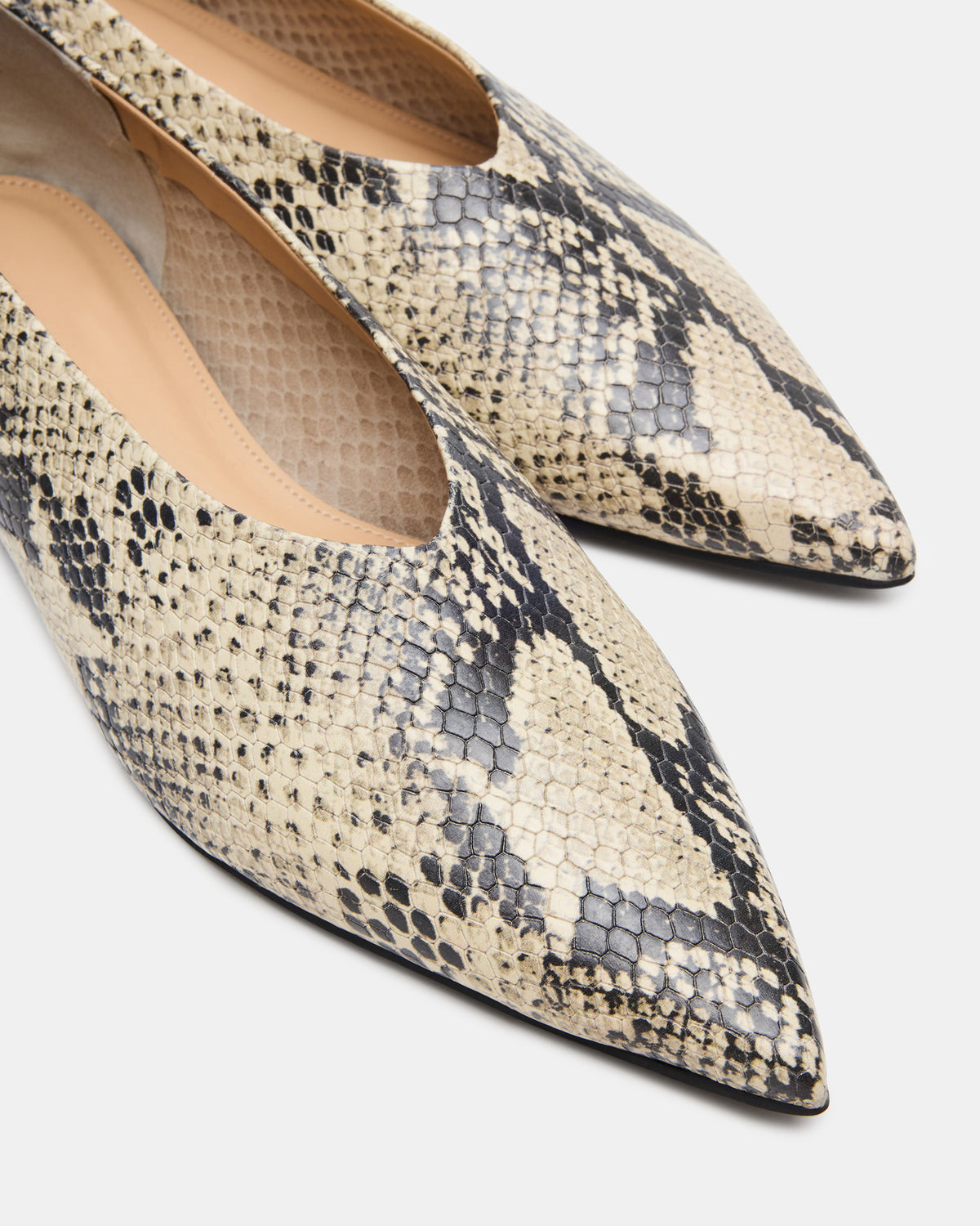 FLOYD Snake Pointed-Toe Ballet Women's Flat Steve Madden SNAKE