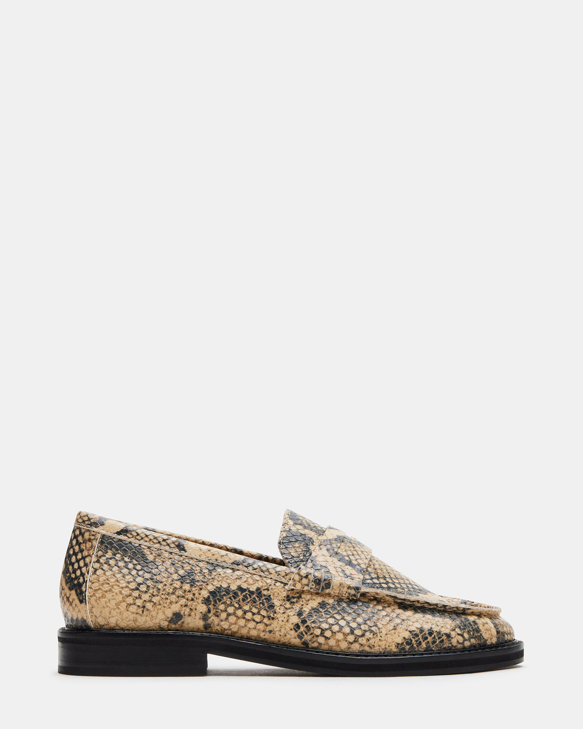MADISON Snake Women's Penny Loafer Steve Madden SNAKE