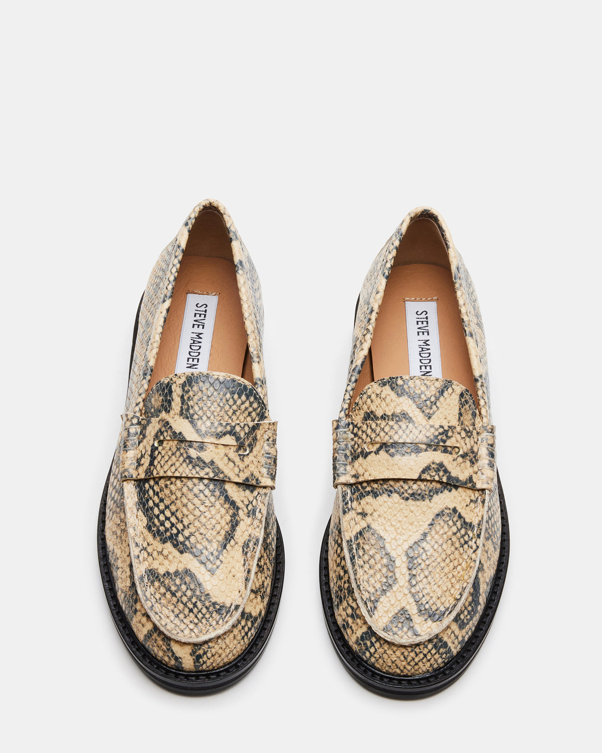 MADISON Snake Women's Penny Loafer Steve Madden SNAKE