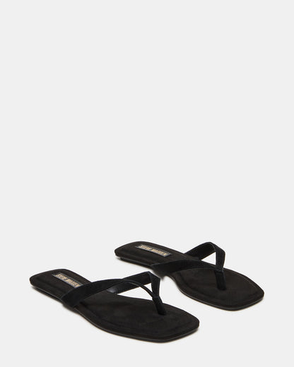 TRELLA Black Suede Square-Toe Thong Women's Sandal Steve Madden BLACK SUEDE