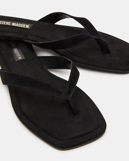 TRELLA Black Suede Square-Toe Thong Women's Sandal Steve Madden BLACK SUEDE