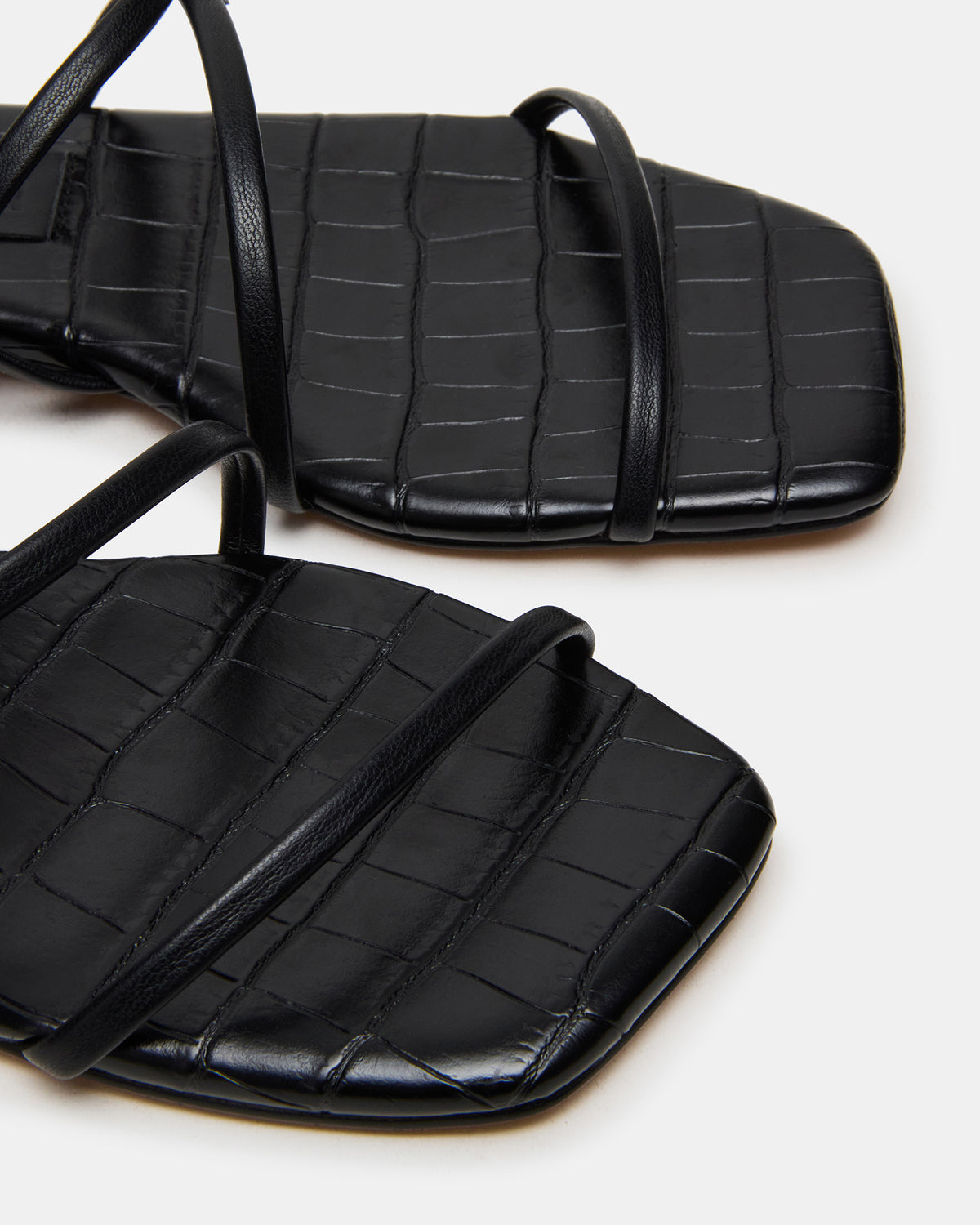 TANGO Black Square-Toe Strappy Women's Sandal Steve Madden BLACK