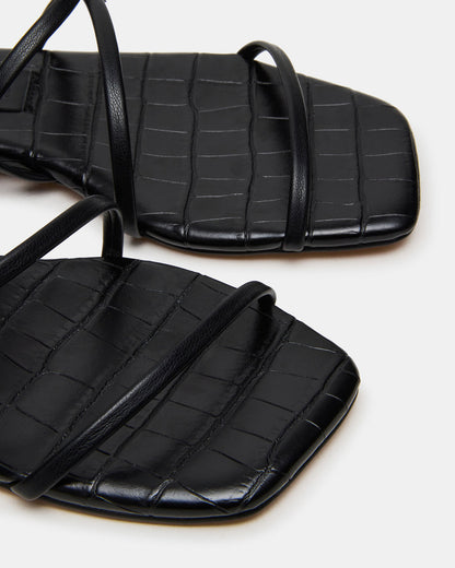 TANGO Black Square-Toe Strappy Women's Sandal Steve Madden BLACK