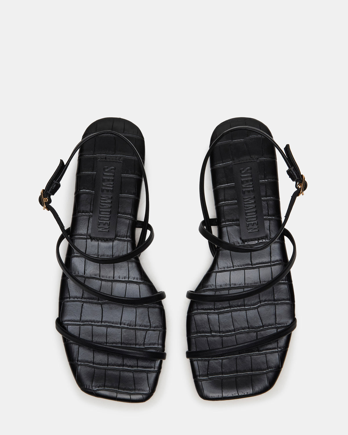 TANGO Black Square-Toe Strappy Women's Sandal Steve Madden BLACK