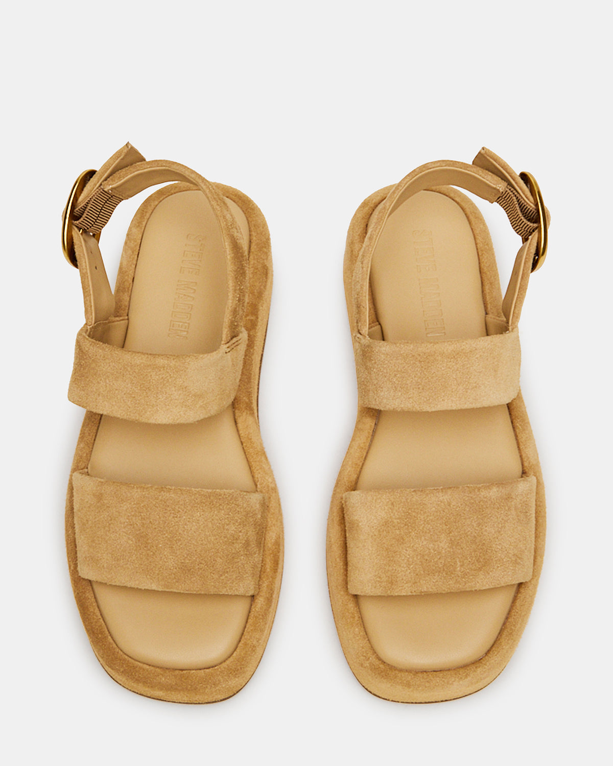 BARONI Sand Suede Square-Toe Platform Women's Sandals Steve Madden SAND SUEDE
