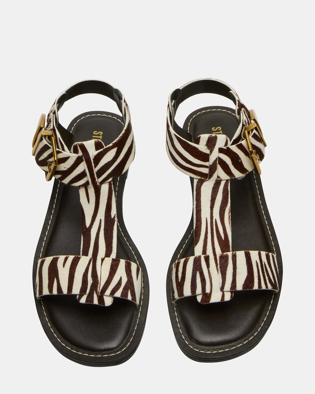BRAZINN Zebra Strappy Flat Sandal Women's Sandal Steve Madden ZEBRA