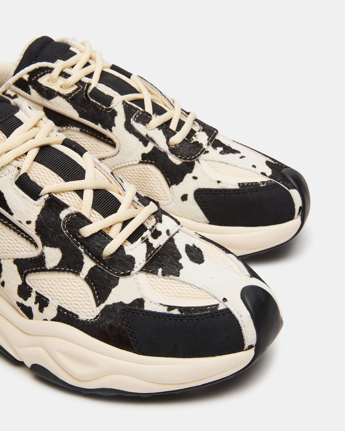 SALVADOR Black/White Low-Top Lace-Up Men's Sneaker Steve Madden BLACK/WHITE