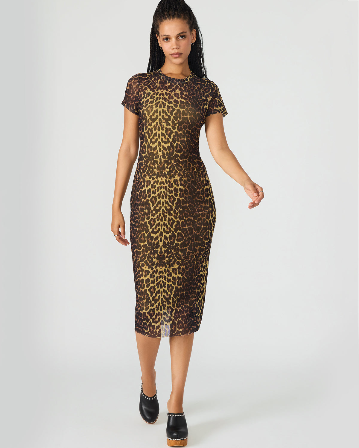 HAILEE Hot Sports Print Mesh Short-Sleeved Bodycon Women's Dress Steve Madden HOT SPOTS PRINT