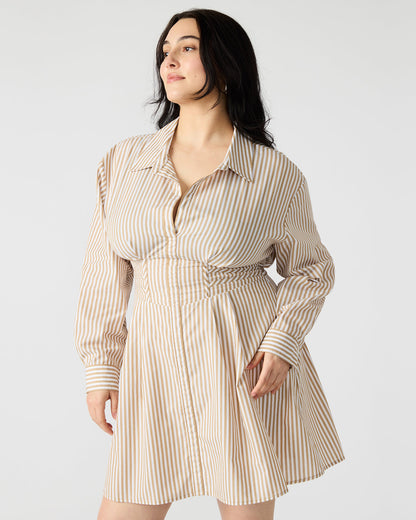 ARIA Taupe Women's Button-Up Mini Dress Steve Madden TAUPE