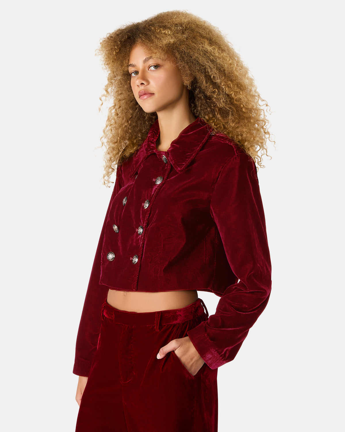 TONIA Red Velvet Button-Up Long-Sleeved Women's Blazer Jacket Steve Madden RED VELVET