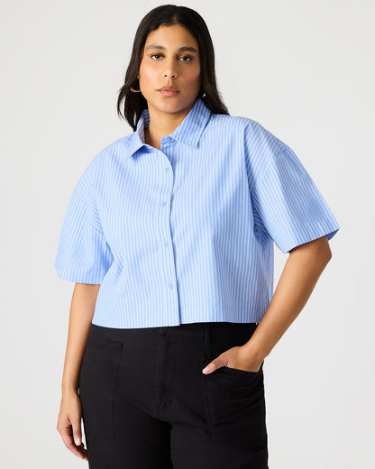 TULA Blue/White Women's Collared Button-Up Pinstripe Top Steve Madden BLUE WHITE