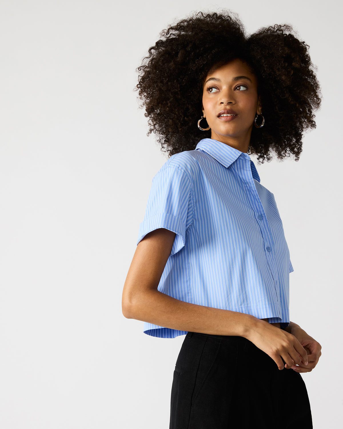 TULA Blue/White Women's Collared Button-Up Pinstripe Top Steve Madden BLUE WHITE